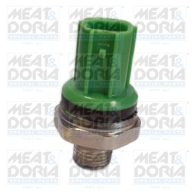 Knock Sensor